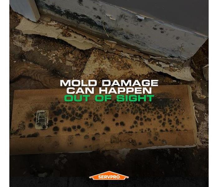 Mold on sheetrock removed from bottom of a wall with the caption: Mold Damage Can Happen Out of Sight